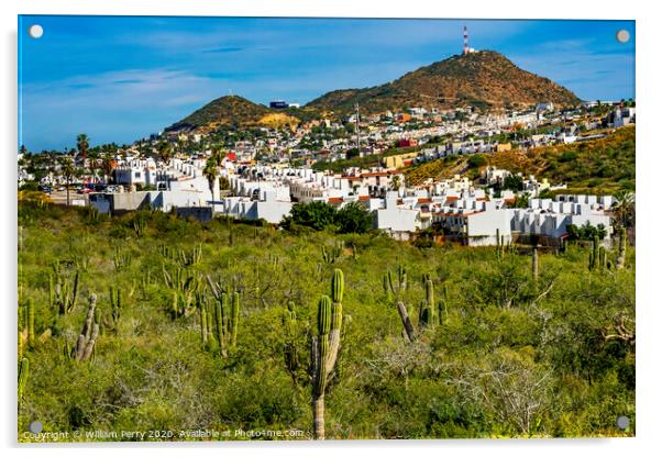 Mexican Village Cardon Cactus Sonoran Desert  Baja Los Cabos Mexico Acrylic by William Perry