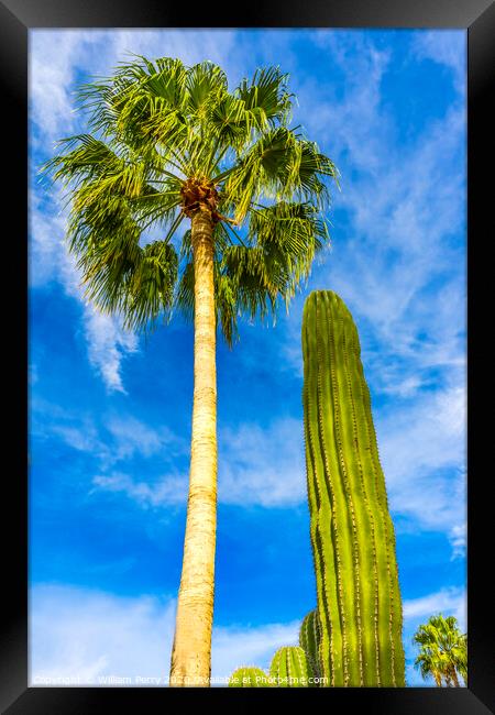 Cardon Cactus Queen Palm Tree Baja Los Cabos Mexico Framed Print by William Perry