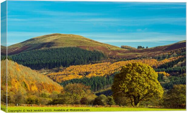 Tor y Foel from the Talybont Valley Brecon Beacons Canvas Print by Nick Jenkins
