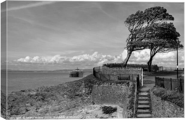 Clevedon Beach pier and Promenade steps Canvas Print by Diana Mower