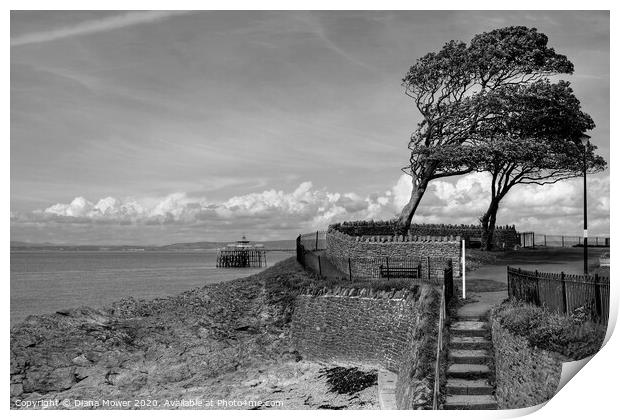 Clevedon Beach pier and Promenade steps Print by Diana Mower