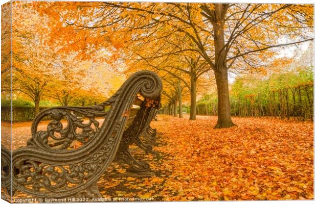 Autumn In Regents Park Canvas Print by Raymond Hill