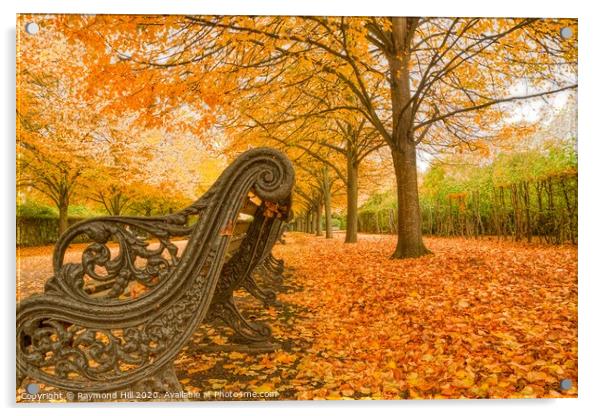 Autumn In Regents Park Acrylic by Raymond Hill