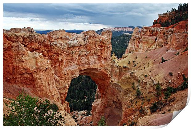 Natural Bridge Print by David Pringle