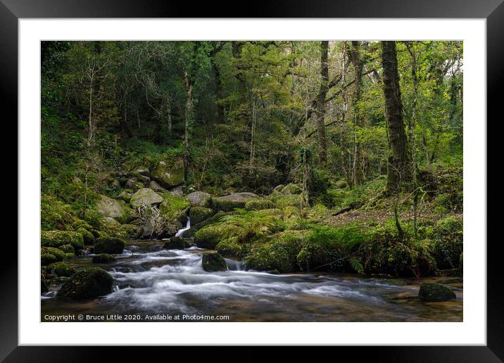 Deep in the Dartmoor woods Framed Mounted Print by Bruce Little