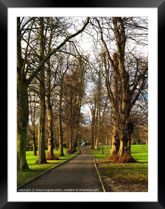 Avenue through the trees Framed Mounted Print by Steve Hughes