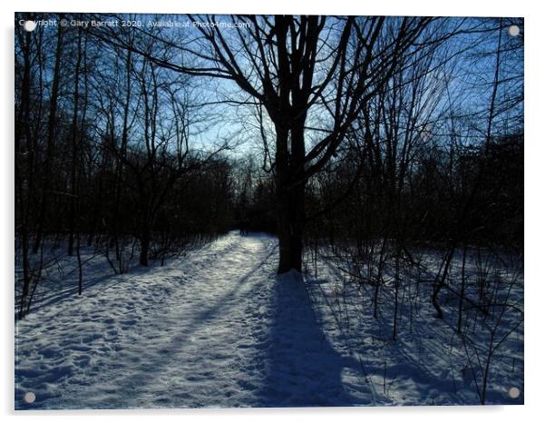 The Long Shadows of Winter Acrylic by Gary Barratt