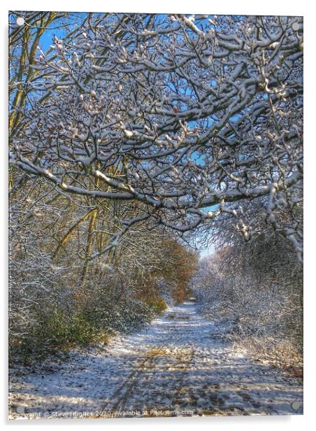 Along the snowy path Acrylic by Steve Hughes