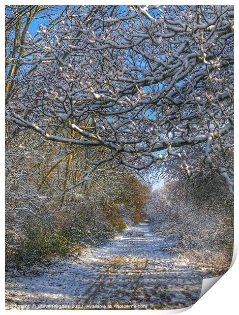 Along the snowy path Print by Steve Hughes