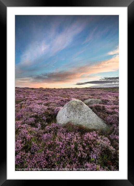 Stunning dawn sunrise landscape image of heather on Higger Tor in Summer in Peak District England Framed Mounted Print by Matthew Gibson