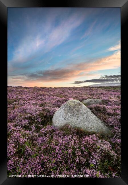 Stunning dawn sunrise landscape image of heather on Higger Tor in Summer in Peak District England Framed Print by Matthew Gibson