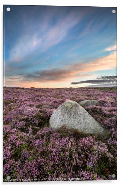 Stunning dawn sunrise landscape image of heather on Higger Tor in Summer in Peak District England Acrylic by Matthew Gibson