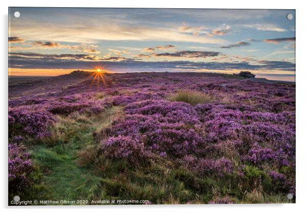 Stunning dawn sunrise landscape image of heather on Higger Tor in Summer in Peak District England Acrylic by Matthew Gibson
