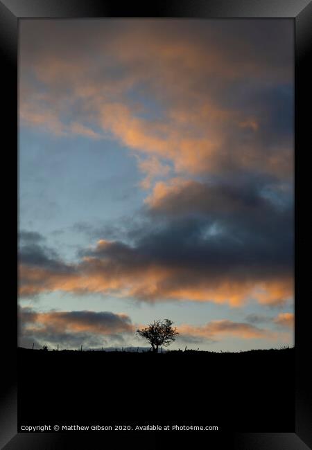 Beautiful Autumn Fall landscape vibrant countryside image of lone tree and stone wall at dawn Framed Print by Matthew Gibson