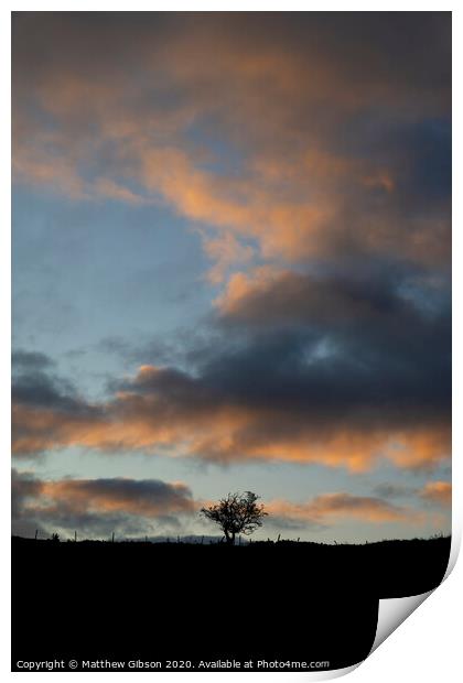 Beautiful Autumn Fall landscape vibrant countryside image of lone tree and stone wall at dawn Print by Matthew Gibson