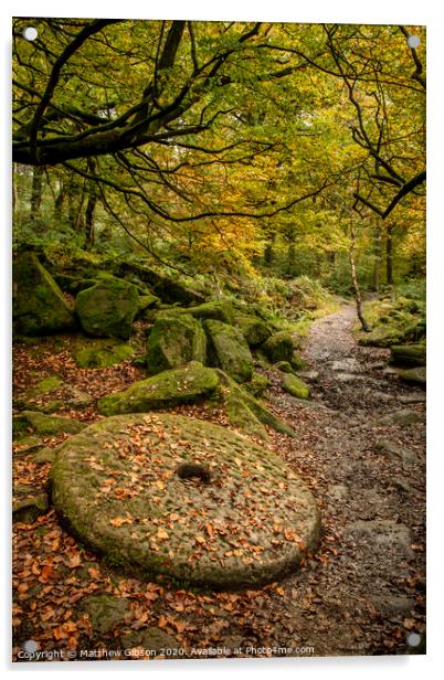 Beautiful vibrant Autumn Fall forest landscape image of millstone in woodland in Peak District Acrylic by Matthew Gibson