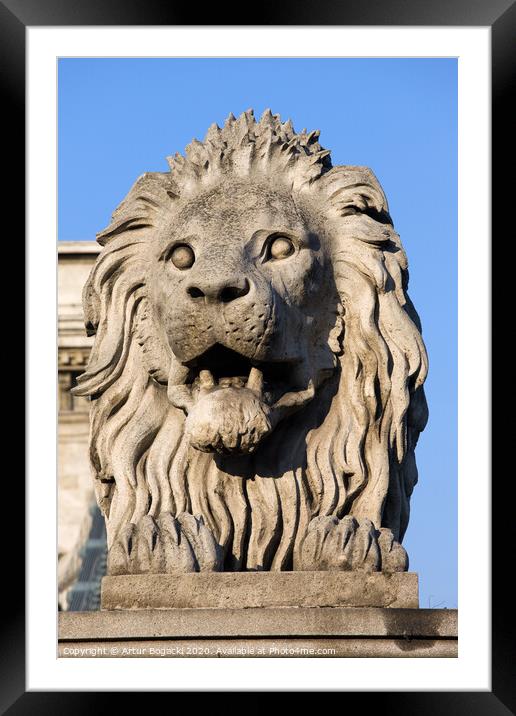 Lion Sculpture on Chain Bridge in Budapest Framed Mounted Print by Artur Bogacki