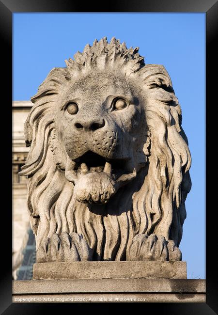 Lion Sculpture on Chain Bridge in Budapest Framed Print by Artur Bogacki