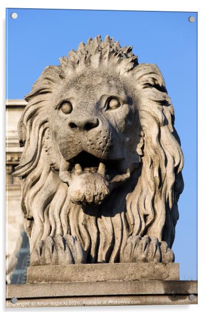 Lion Sculpture on Chain Bridge in Budapest Acrylic by Artur Bogacki