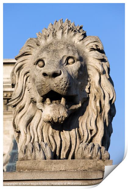 Lion Sculpture on Chain Bridge in Budapest Print by Artur Bogacki