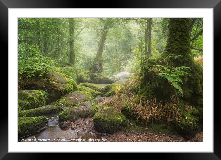Stunning landscape image of Golitha Falls in Devon on misty Summer morning with stream flowing through woodland Framed Mounted Print by Matthew Gibson