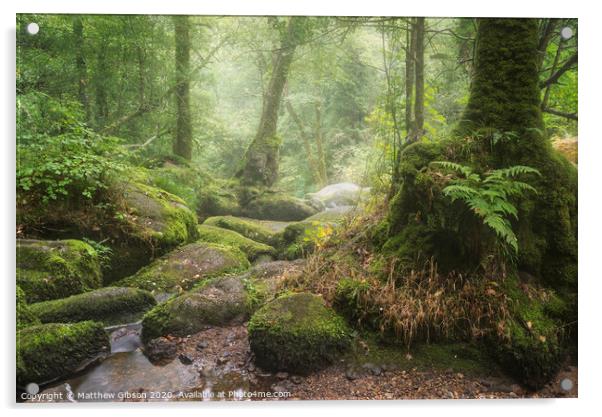 Stunning landscape image of Golitha Falls in Devon on misty Summer morning with stream flowing through woodland Acrylic by Matthew Gibson