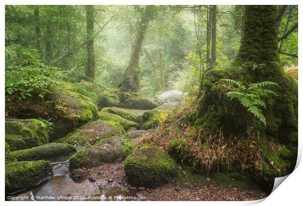 Stunning landscape image of Golitha Falls in Devon on misty Summer morning with stream flowing through woodland Print by Matthew Gibson