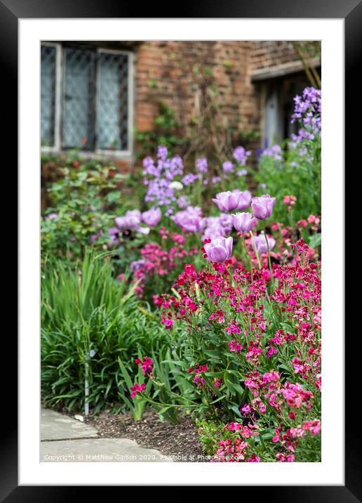 Stunning shallow depth of field landscape image of English country garden borders with vibrant tulips and Spring flowers Framed Mounted Print by Matthew Gibson