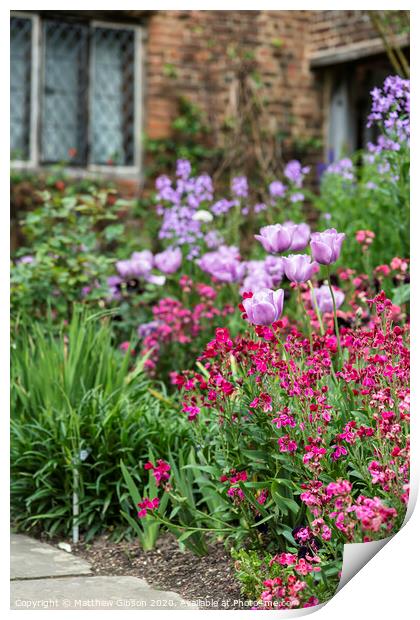 Stunning shallow depth of field landscape image of English country garden borders with vibrant tulips and Spring flowers Print by Matthew Gibson
