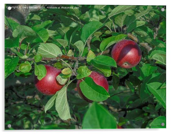 Autumn Apples Acrylic by Gary Barratt