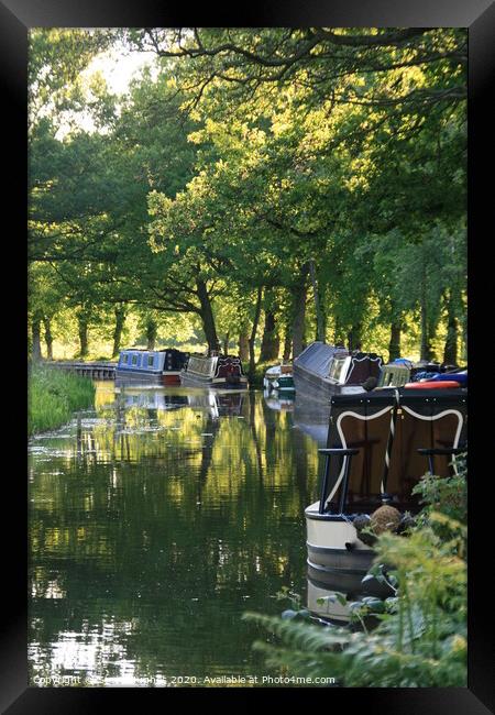 Boats on the Basingstoke canal Framed Print by Steve Hughes