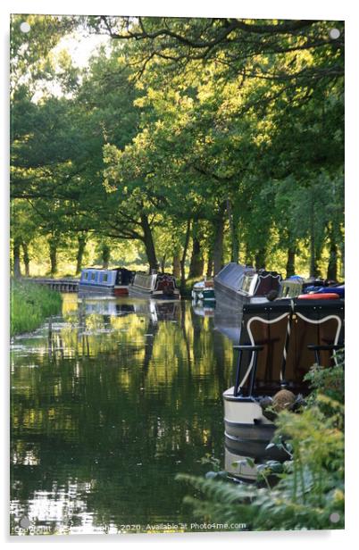 Boats on the Basingstoke canal Acrylic by Steve Hughes