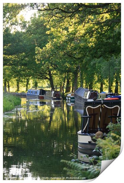 Boats on the Basingstoke canal Print by Steve Hughes