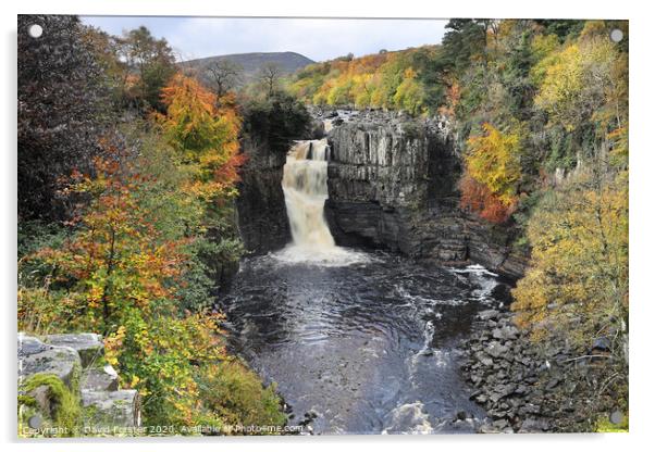 Autumn High Force, Upper Teesdale, County Durham, UK Acrylic by David Forster