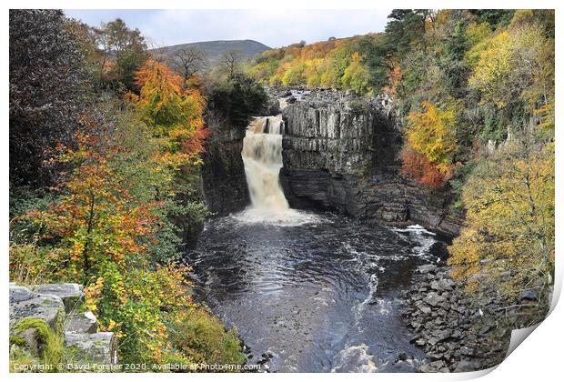 Autumn High Force, Upper Teesdale, County Durham, UK Print by David Forster