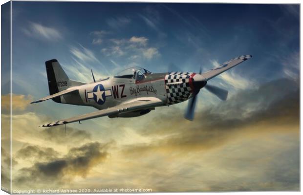 Mustang escort Canvas Print by Richard Ashbee