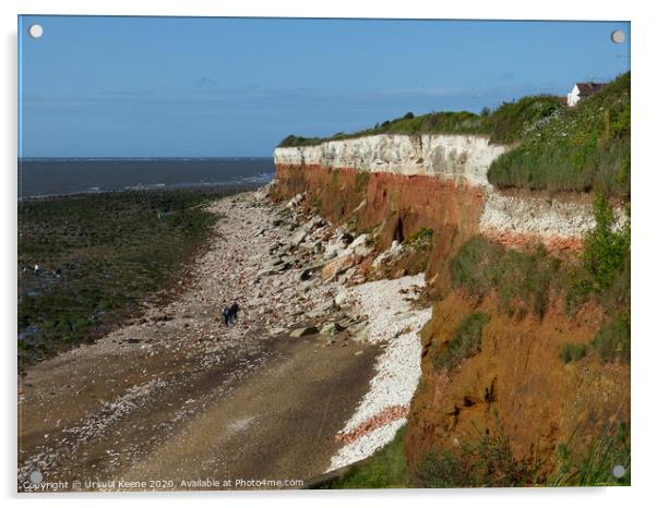 Hunstanton Cliffs & Beach Acrylic by Ursula Keene