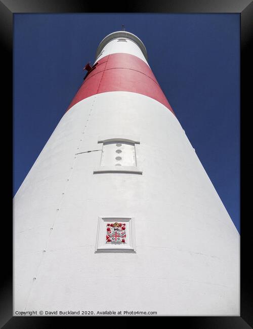Portland Bill Lighthouse Framed Print by David Buckland