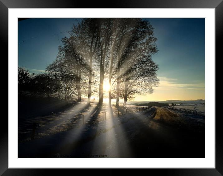 Winter Sunshine Framed Mounted Print by David Buckland