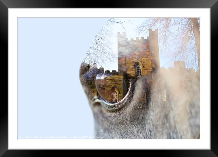 Horse Eye Castle Framed Mounted Print by Hannah Watson