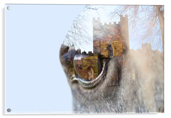 Horse Eye Castle Acrylic by Hannah Watson