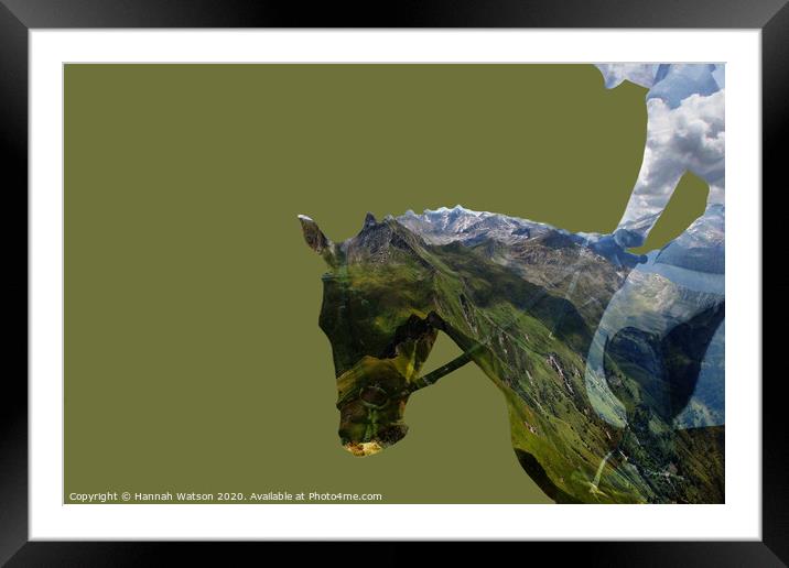 Green Hills Horse Framed Mounted Print by Hannah Watson
