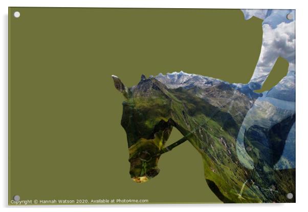 Green Hills Horse Acrylic by Hannah Watson