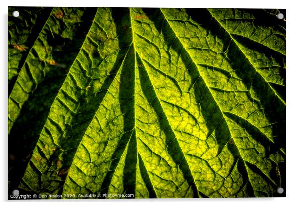 Raspberry leaf Acrylic by Don Nealon