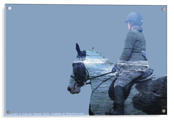 Horse Tidal Wave Acrylic by Hannah Watson