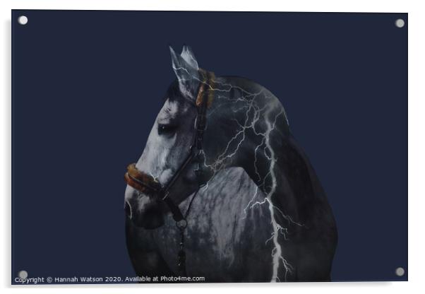 Horse Lightning Strike Acrylic by Hannah Watson