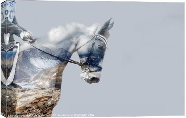 Cloudy Sky Horse Canvas Print by Hannah Watson