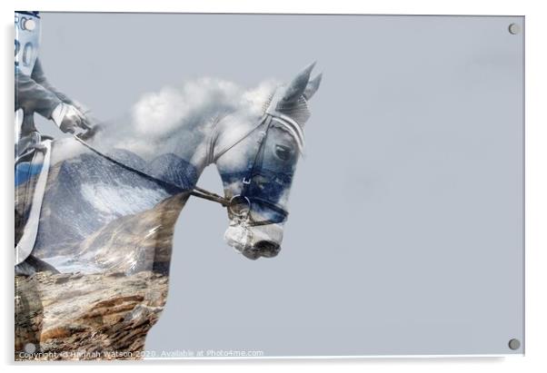 Cloudy Sky Horse Acrylic by Hannah Watson