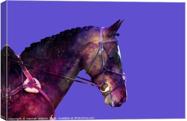 Horse Space Nebula Canvas Print by Hannah Watson