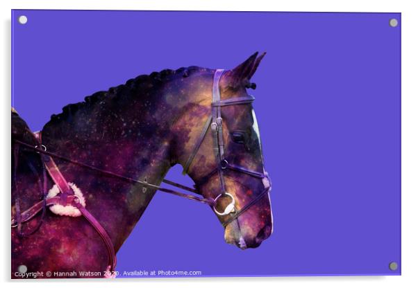 Horse Space Nebula Acrylic by Hannah Watson